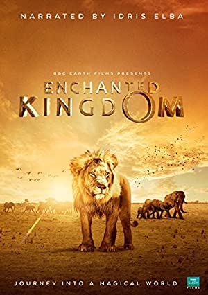 Enchanted Kingdom (2014)