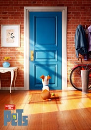 The Secret Life of Pets 2016 BluRay 1080p DTS HD MA 7 1 x264 dxva FraMeSToR Obfuscated