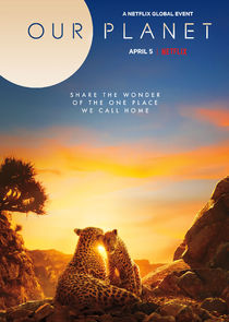 Our Planet 2019 S01E08 Forests 1080p NF WEBRip DDP5 1 x264 NTb AsRequested