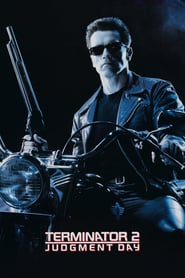 Terminator 2 Judgment Day 1991 1080p BluRay Remux AVC DTS HD MA 5 1 BITHD
