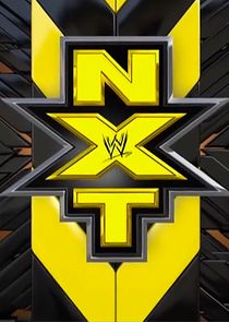 WWE NXT 2020 11 18 1080p HEVC x265 MeGusta