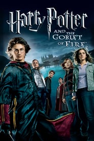 Harry Potter and the Goblet of Fire 2005 Multi TRUEFRENCH 2160p UHD BluRay X265 DTS HDMA DTS X