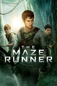 The Maze Runner 2014 RETAIL DVDRip X264 PLAYNOW Obfuscated