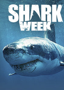 Shark Week 2017 The Lost Cage 1080p HDTV x264 aAF
