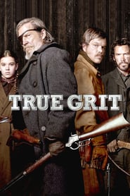 True Grit 2010 MULTI 1080p BluRay x264 NERDHD