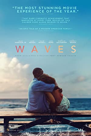 Waves 2019 DVDSCR XviD AC3 EVO Obfuscated