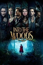Into_the_Woods 2014 German 720 Bluray x264 AC3 NoGroup