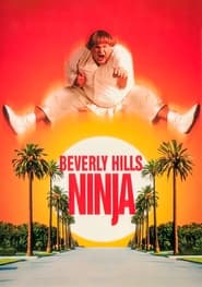 Beverly Hills Ninja 1997 1080p HDRip x264 AAC2 0 FGT Obfuscated