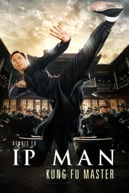 Ip Man Kung Fu Master 2019 MULTi 1080p BluRay x264 Ulysse