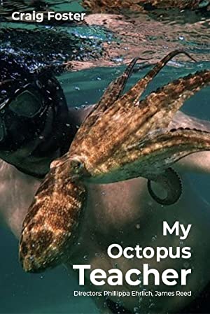 My Octopus Teacher 2020 1080p NF WEB DL DDP5 1 H 264 pawel2006