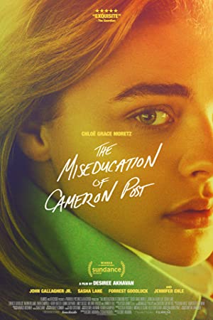 The Miseducation of Cameron Post 2018 1080p WEB DL DD5 1 H264 FGT postbot