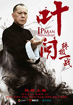 Ip Man The Final Fight (2013)