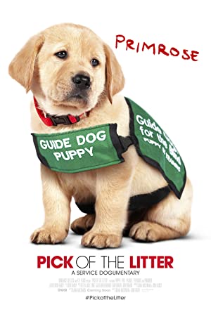Pick of the Litter 2018 1080p WEB DL DD5 1 H264 FGT postbot