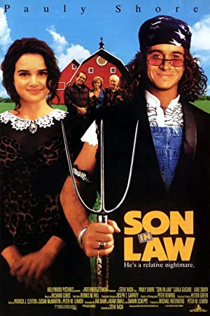 Son in Law 1993 DVDRIP x264 NGP