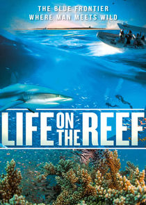 Life on the Reef Part2 2015 720p BluRay x264 YELLOWBiRD Obfuscated
