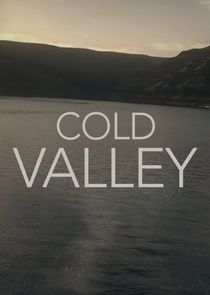 Cold Valley Part 1 Person of Interest 720p WEBRip x264 CAFFEiNE Obfuscated