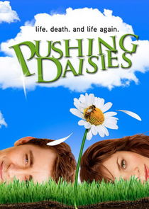 Pushing Daisies S02E11 BDRip 720p NTV Obfuscated