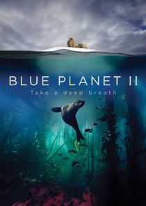 Blue Planet II S01E01 One Ocean 2160p DTS HD MA 5 1 HEVC REMUX FraMeSToR AsRequested
