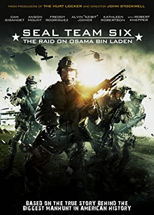 Seal Team Six The Raid on Osama Bin Laden (2012)