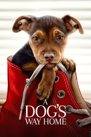 A Dogs Way Home 2019 720p HDRip BLURRED AC 3 X264 CMRG Obfuscated