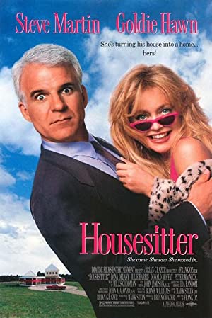 HouseSitter 1992 DVDrip 576p H264 20 40