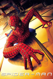 Spider Man 2002 iNTERNAL DVDRip XviD XviK