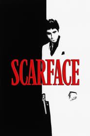 Scarface NF 1080p NLSubs x264