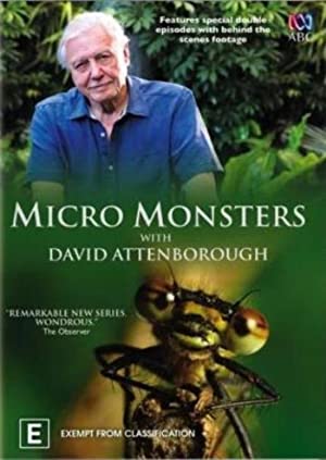 Micro Monsters With David Attenborough 2013 3D HSBS DTS5 1 EP2   Predator 3D4U