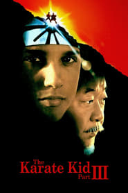 The Karate Kid Part III 1989 INTERNAL DVDRip XviD xV