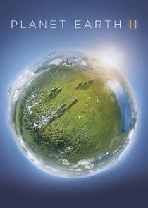 Planet Earth II 2016 S01E01 Islands Repack UHD BluRay 2160p DTS HD MA 5 1 HEVC REMUX FraMeSToR