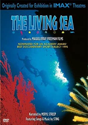 IMAX   The Living Sea (1995) 2160p Amazon WEBRip DD2 0 x264 TrollUHD