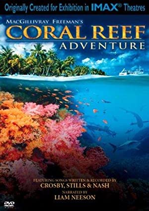 IMAX   Coral Reef Adventure (2003) 2160p Amazon WEBRip DD2 0 x264 TrollUHD