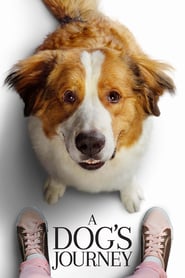 A Dogs Journey 2019 1080p WEB DL H 264 AC3 EVO Obfuscated