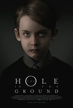 The Hole In The Ground 2019 DVDRip x264 LPD  franky007