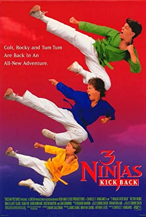 3 Ninjas Kick Back (1994) DVDRip Obfuscated