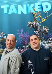 Tanked S06E12 NBA Wizardry 720p HDTV x264 DHD