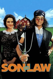 Son In Law 1993 Dvdrip x264 NGP