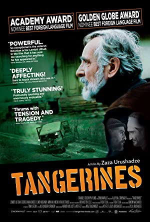 Tangerines 2013 LIMITED SUBBED DVDRip x264 RedBlade