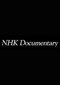 NHK Documentary S03E20 Tokyo Black Hole Year Zero In Post WWII Japan 1080p HEVC x265 MeGusta Ob