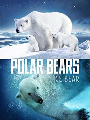 Polar Bears Ice Bear 2013 3D 1080p BluRay x264 SADPANDA
