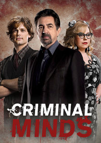 Criminal Minds S09E24 DVDRip x264 DEMAND