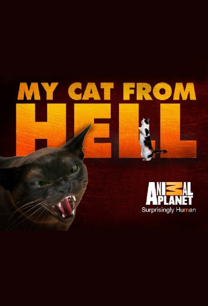 My Cat From Hell S05E08 Mamma Mia INTERNAL 720p WEB x264 GIMINI Obfuscated