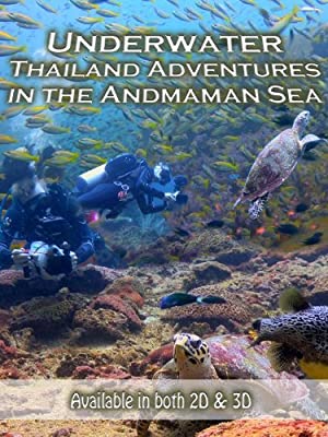 Diving In Paradise Shark Adventures In Thailand 2012 3D HSBS 1080p BluRay x264 HQ TUSAHD